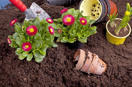 Gardener preparing tools before starting work in a Neasden garden
