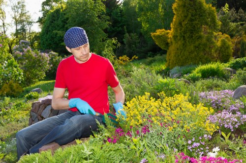 Homeowner selecting a lawn mowing service in Neasden