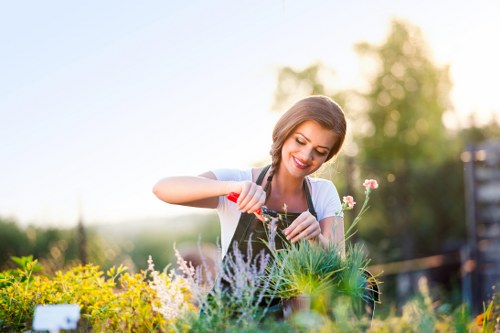 Lush garden in Neasden showcasing vibrant flowers and greenery