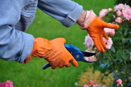 Local gardeners participating in a community gardening event in Neasden
